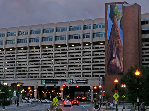 Slide Show Image